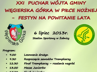 XXI Puchar Wójta Gminy Węgierska Górka w Piłce Nożnej - Festyn na powitanie lata - zdjęcie1