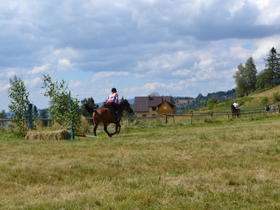 VIII Święto Konia Turystycznego na fotografii - zdjęcie63