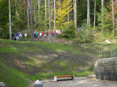 Zuchowe spotkanie z piosenką - zdjęcie17