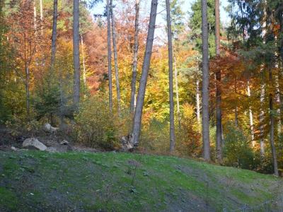 Harcerski Dzień Bohaterów - zdjęcie56