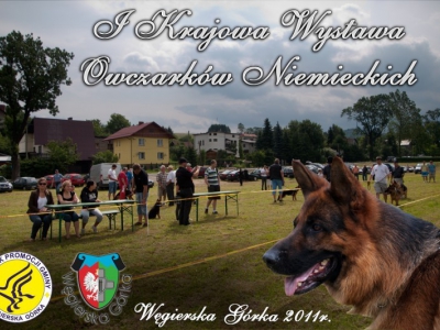 I Krajowa Wystawa Owczarków Niemieckich - zdjęcie12