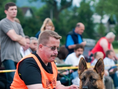 I Krajowa Wystawa Owczarków Niemieckich - zdjęcie9