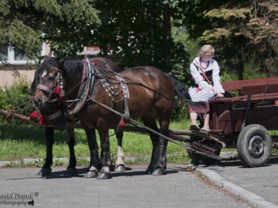 VII Międzynarodowy Konkurs Heligonistów - zdjęcie36