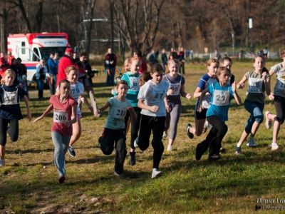 Rekordowy Cross Beskidzki - zdjęcie16