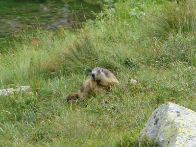 Słowackie Tatry Zachodnie - zdjęcie13