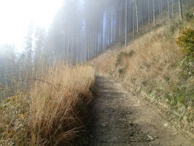 80 lat schroniska na Wielkiej Raczy - Uroczyste obchody w dniu 26.10.2014r. - zdjęcie4