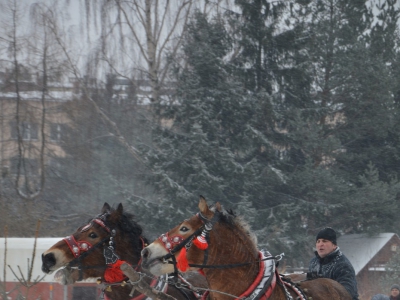V Zawody Furmanów - Zima 2015 - zdjęcie63