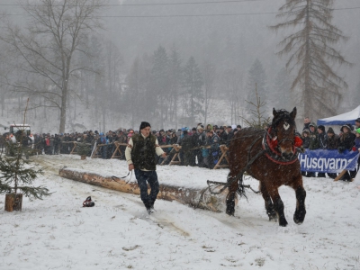 V Zawody Furmanów - Zima 2015 - zdjęcie34
