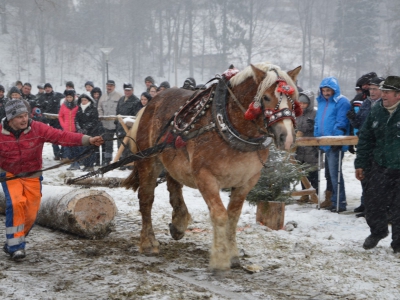 V Zawody Furmanów - Zima 2015 - zdjęcie31