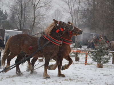 V Zawody Furmanów - Zima 2015 - zdjęcie11