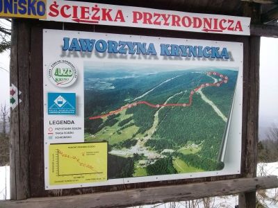 Wycieczka na Jaworzynę Krynicką - zdjęcie28