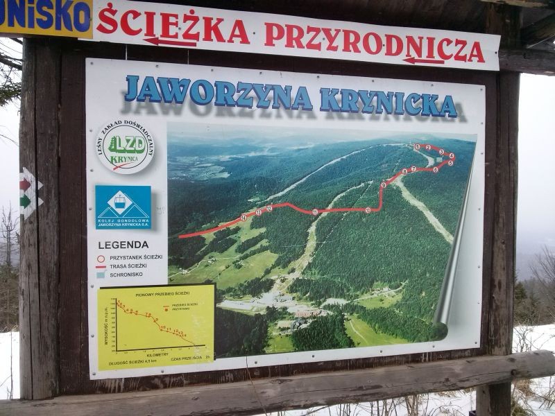 Wycieczka na Jaworzynę Krynicką