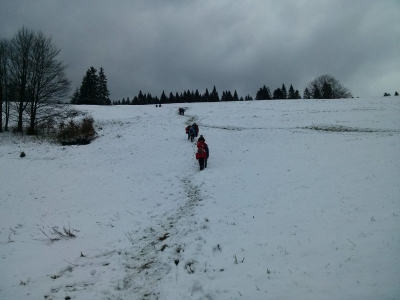 Wycieczka na Jaworzynę Krynicką - zdjęcie9