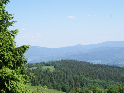 II Dzień Dziecka Oddziału Babiogórskiego PTTK - zdjęcie4