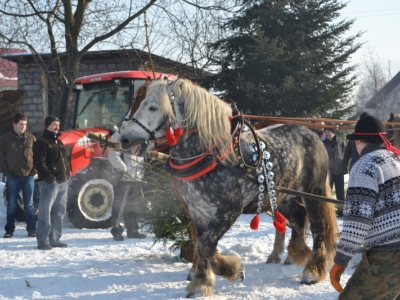 Wyniki i fotorelacja z III Zawodów Furmanów - zdjęcie19