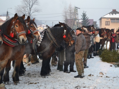 Wyniki i fotorelacja z III Zawodów Furmanów - zdjęcie10