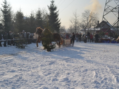 Wyniki i fotorelacja z III Zawodów Furmanów - zdjęcie15