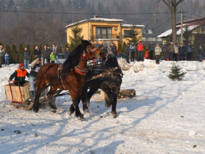 Wyniki i fotorelacja z III Zawodów Furmanów - zdjęcie14