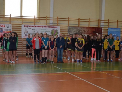 Sukces TS Metal Węgierska Górka w turnieju  Podbeskidzkiej Ligi Amatorskiej Piłki Ręcznej Dziewcząt - zdjęcie1