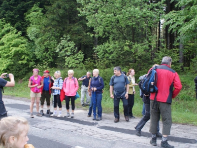 XXIII Wiosenny Zlot Żywczaków Hala Miziowa 29.05.2016 r. - zdjęcie41