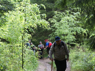 XXIII Wiosenny Zlot Żywczaków Hala Miziowa 29.05.2016 r. - zdjęcie40