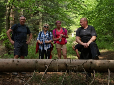 XXIII Wiosenny Zlot Żywczaków Hala Miziowa 29.05.2016 r. - zdjęcie38