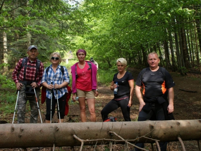 XXIII Wiosenny Zlot Żywczaków Hala Miziowa 29.05.2016 r. - zdjęcie37