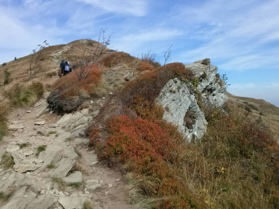 Hej Bieszczady! - zdjęcie17