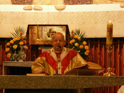 Kardynał Dziwisz 6 listopada w kościele "jednej doby" - zdjęcie5