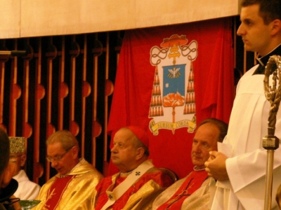 Kardynał Dziwisz 6 listopada w kościele "jednej doby" - zdjęcie4