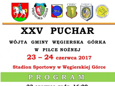 XXV Puchar Wójta w Piłkę Nożną - zdjęcie1