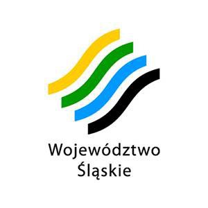 EFS-owe Śląskie - Szanse i wyzwania w pozyskiwaniu oraz realizacji projektów z Europejskiego Funduszu Społecznego