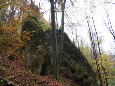 Fotorelacja z wycieczki 