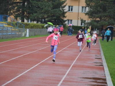 XIX Cross Beskidzki - podsumowanie - zdjęcie22