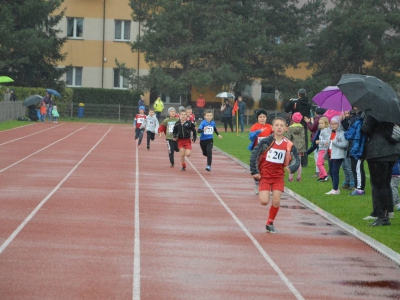 XIX Cross Beskidzki - podsumowanie - zdjęcie17