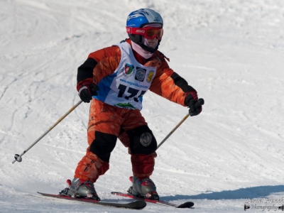 Zawody w narciarstwie alpejskim - wyniki - zdjęcie12