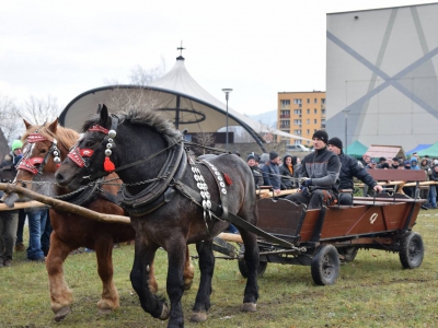 VIII Zawody Furmanów - zdjęcie39