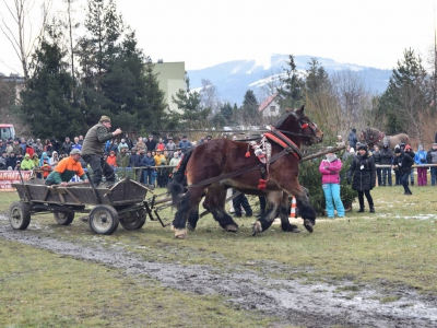 VIII Zawody Furmanów - zdjęcie36