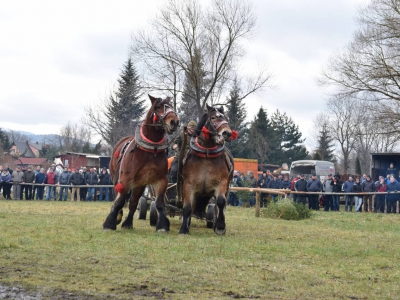 VIII Zawody Furmanów - zdjęcie38