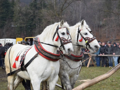 VIII Zawody Furmanów - zdjęcie28