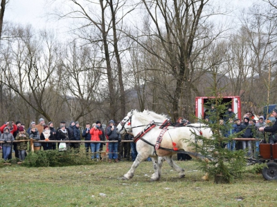 VIII Zawody Furmanów - zdjęcie32