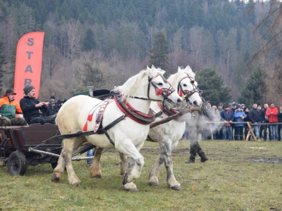 VIII Zawody Furmanów - zdjęcie29