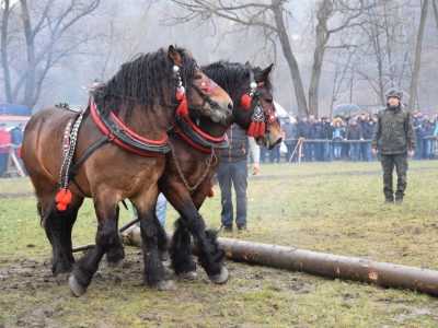 VIII Zawody Furmanów - zdjęcie27