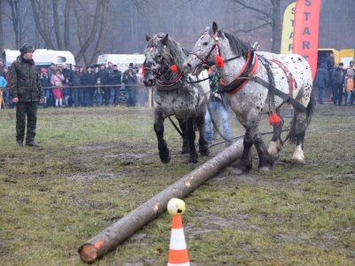 VIII Zawody Furmanów - zdjęcie26