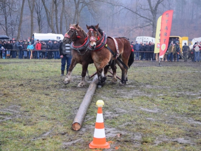 VIII Zawody Furmanów - zdjęcie21