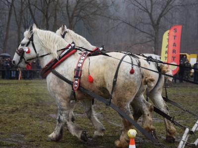 VIII Zawody Furmanów - zdjęcie20