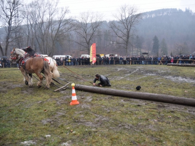 VIII Zawody Furmanów - zdjęcie17