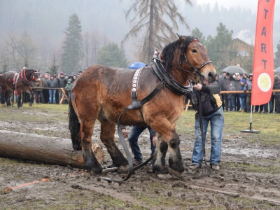 VIII Zawody Furmanów - zdjęcie13