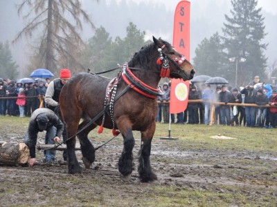 VIII Zawody Furmanów - zdjęcie10