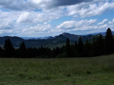 Wycieczka w Pieniny - zdjęcie16